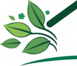 Rapid Clear Mold Removal